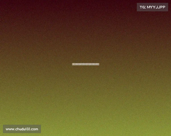 保时捷赛事巅峰对决：速度激情与荣耀征途