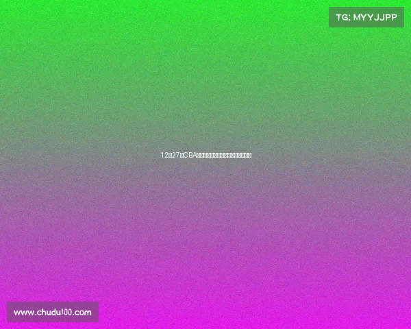 12月27日CBA赛事激情对决篮球盛典星光璀璨时刻